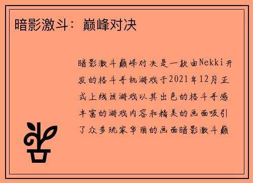 暗影激斗：巅峰对决