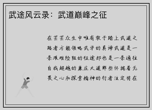 武途风云录：武道巅峰之征